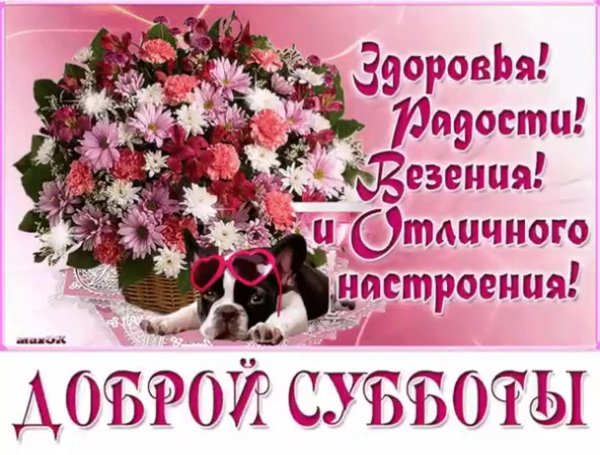 Хорошего субботнего дня и отличного настроения