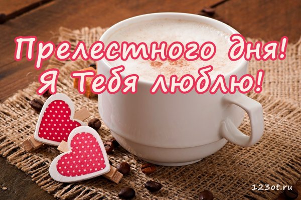 Хорошего дня любимый