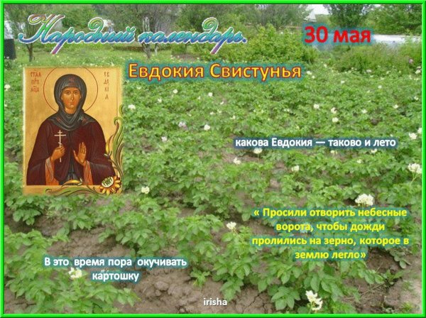 Евдокия свистунья 30 мая по народному