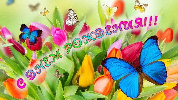 14 Октября Покров Пресвятой Богородицы