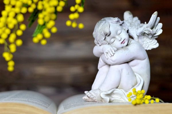 Дмитрий Донской и Евдокия Московская икона