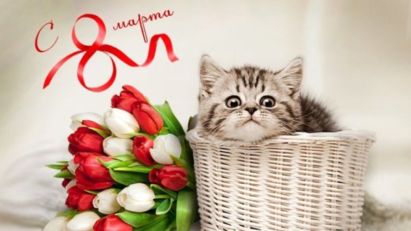 С международным женским днем 8 марта