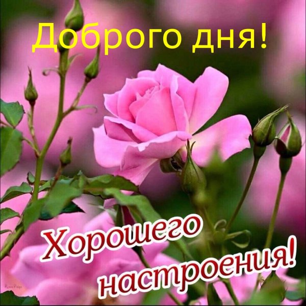 Доброго дня и хорошего настроения