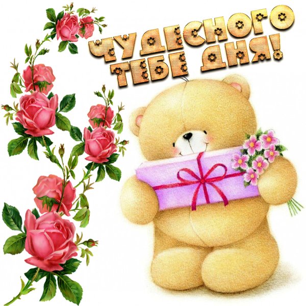 Стикеры добрый день