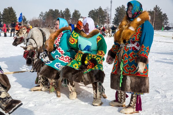 День оленевода на Ямале