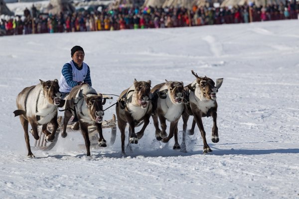 День оленевода