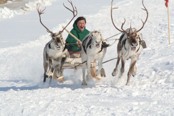 Ненцы Ямало Ненецкий автономный округ