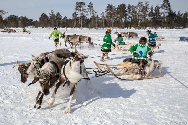 День оленевода Ханты-Мансийск 2020