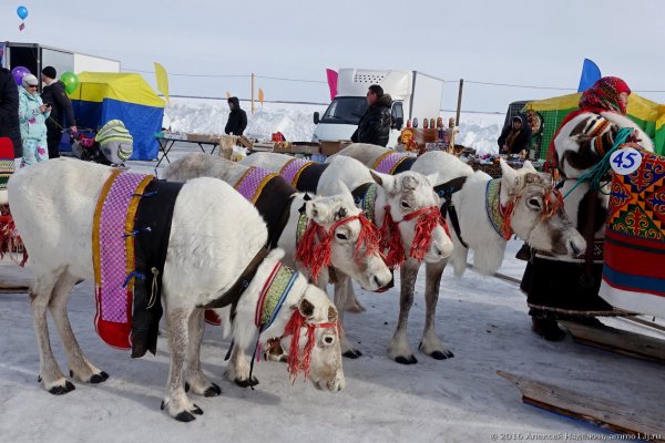 Поселок Тазовский Ямало-Ненецкий автономный округ
