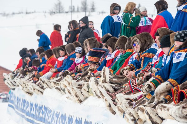 Народы севера ненцы - оленеводы