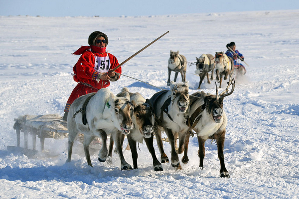 Тазовский тундра Нарты