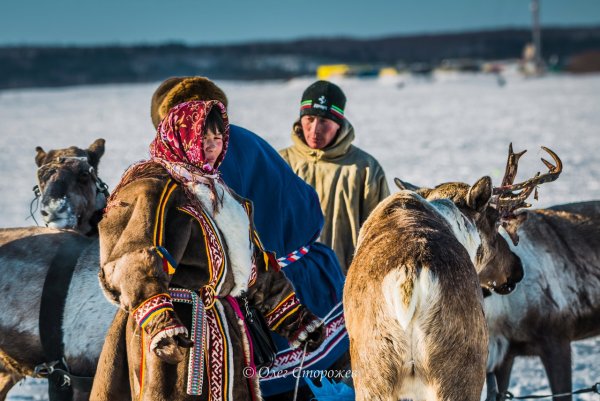 День оленевода Русскинская