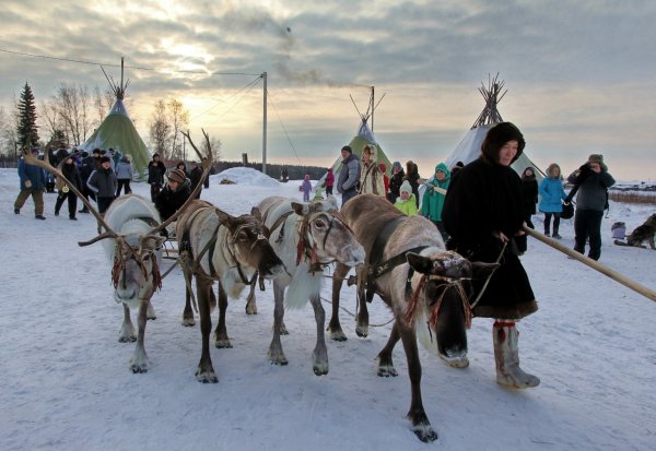 День оленевода в ХМАО