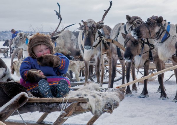 День оленевода Ханты-Мансийск 2020