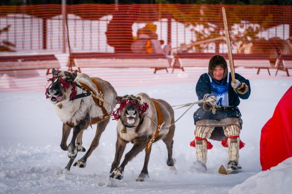 Праздник оленеводов в Воркуте