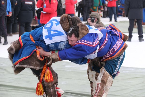 Олени в упряжке соревнование в Воркуте