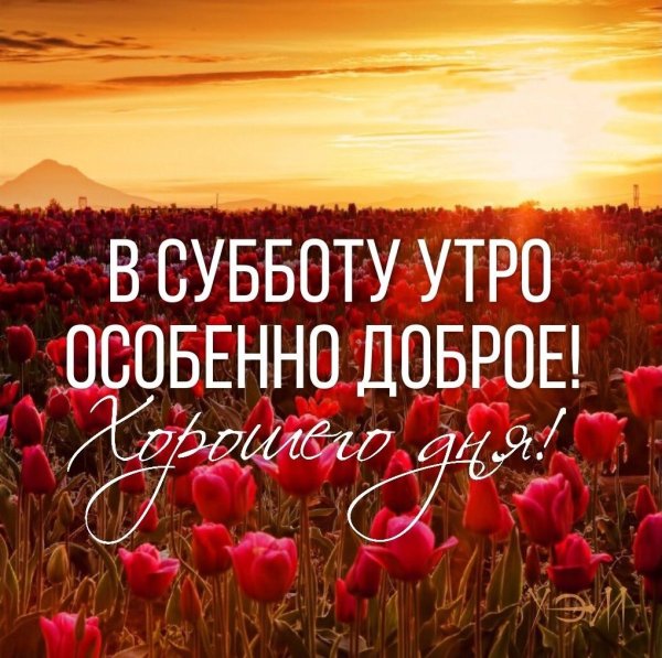 Открытки хорошей субботы