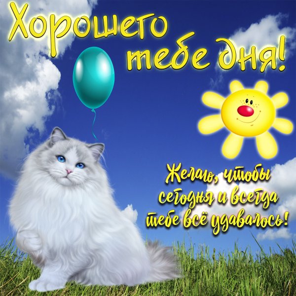 Удачного дня