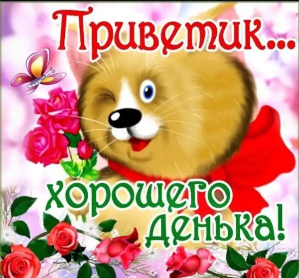 Хорошего дня и отличного настроения