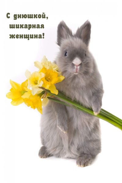 С 8 марта заяц