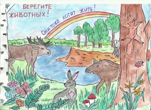 Плакат берегите животных