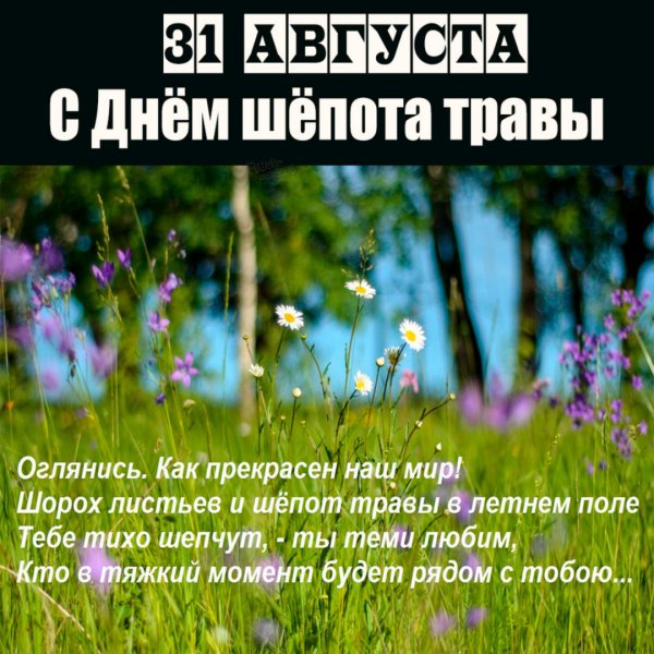 Eugene Smolenceva иллюстрации