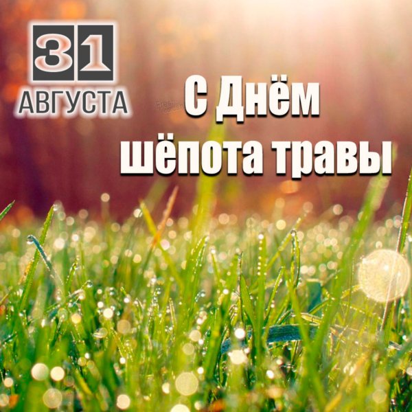 Парень говорит комплименты