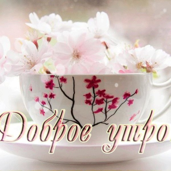 Нежные весенние цветы в чашке
