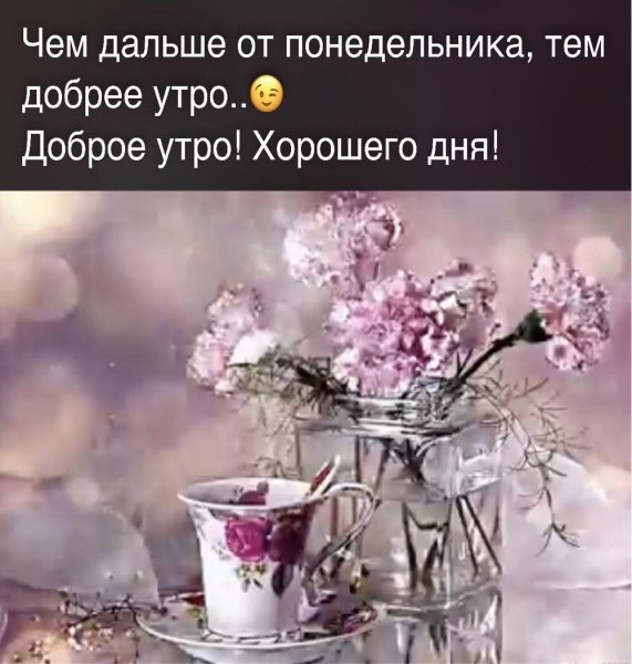 Волшебное зимнее утро и цветы
