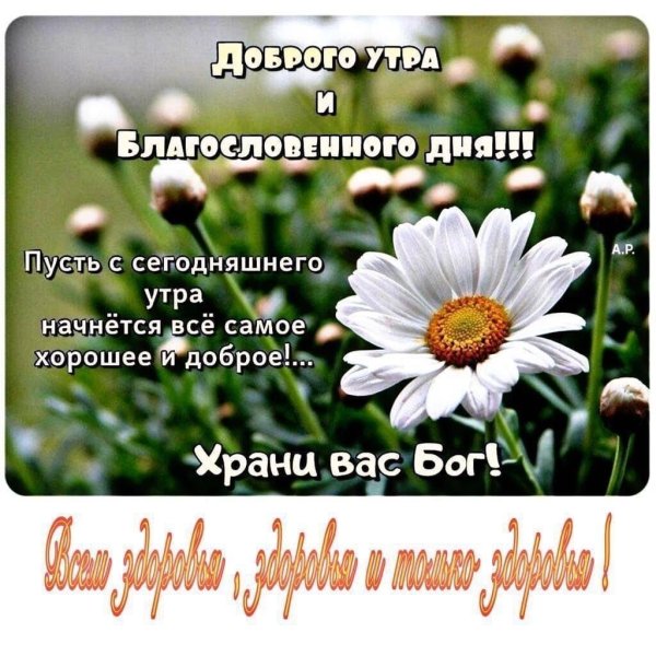 Благословение Божие на день грядущий открытки