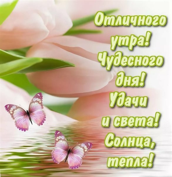 Открытки с пожеланием доброго дня