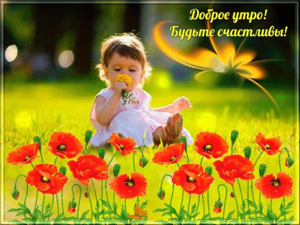 Доброе утро счастливого дня