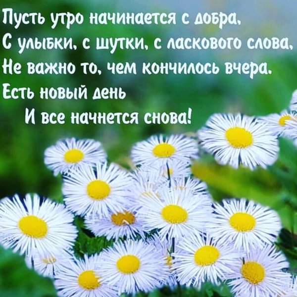 Красивые поздравления с добрым утром природа