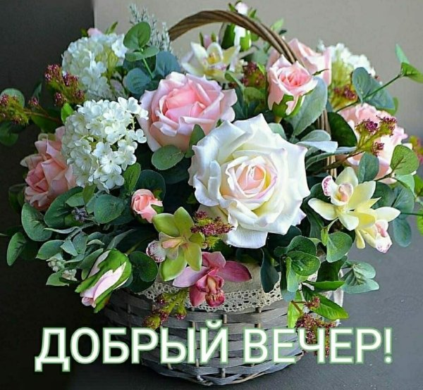 Доброе утро прекрасного дня
