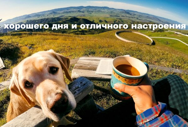 Доброе утро путешествия