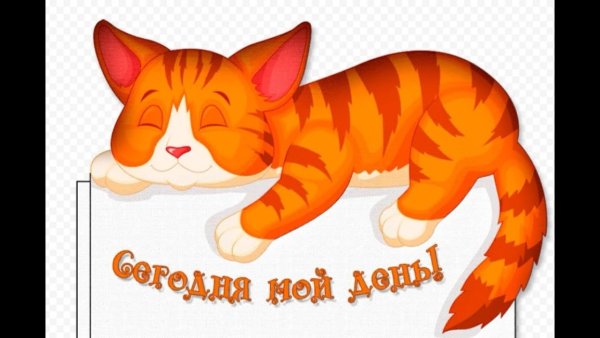 День кошек