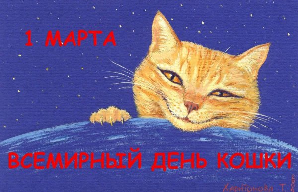 1 Марта день кошек