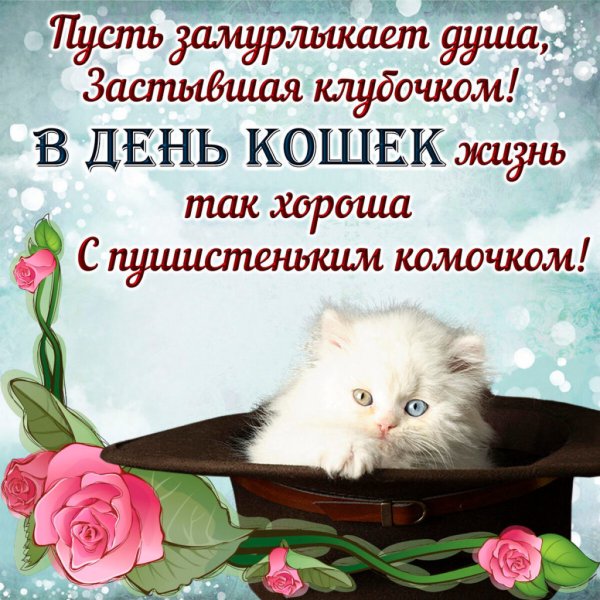 День кошек