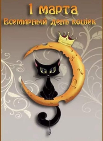 Поздравления с днём кошек