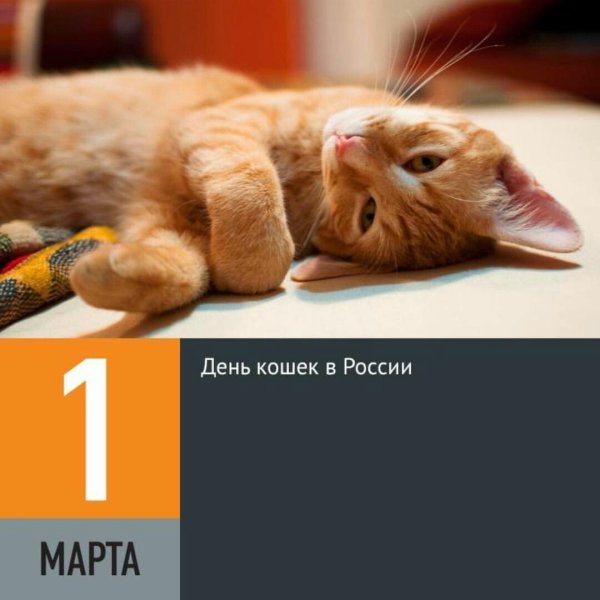 Старинные открытки с котами
