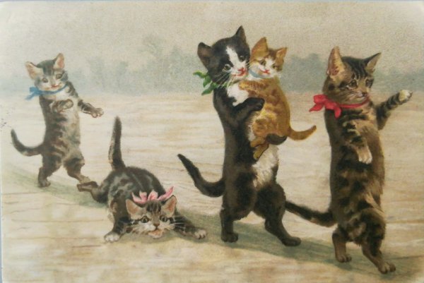 Праздничные коты