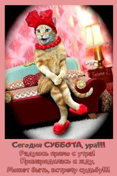 Вместе мы сила