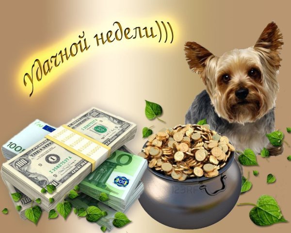 Удачной недели