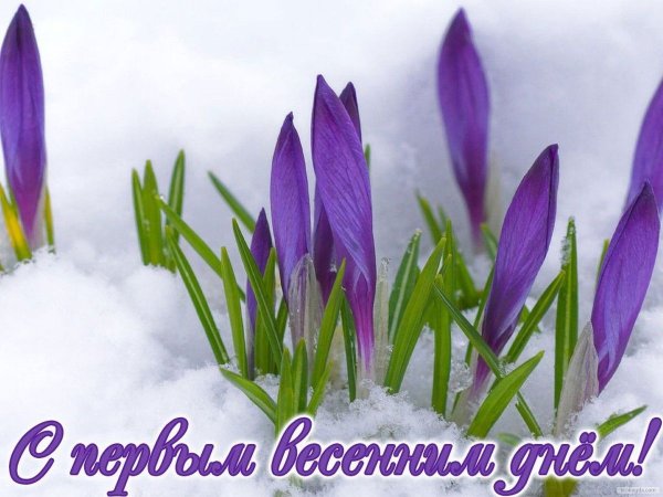 Весенние цветы