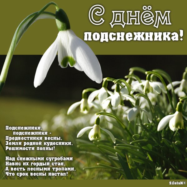 19 Апреля праздник день подснежника