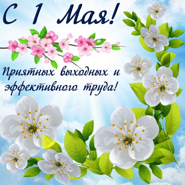 С 1маяпоз поздравления