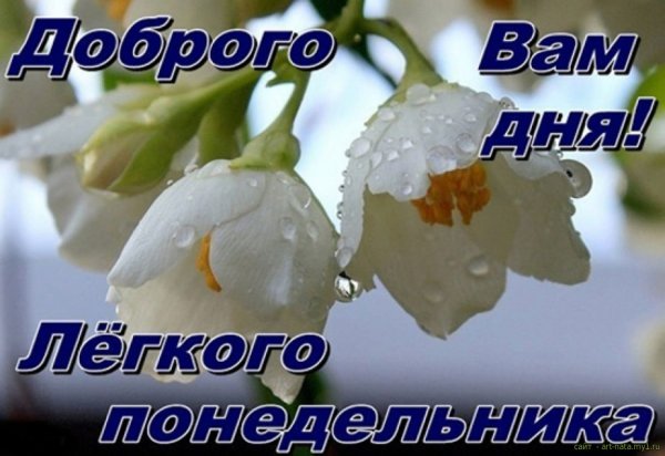Легкого понедельника
