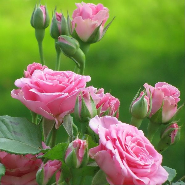 Доброго дня и хорошего настроения