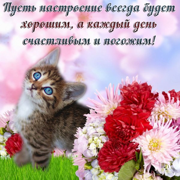 Хорошего дня и отличного настроения