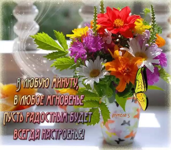 Цветы с добрыми пожеланиями